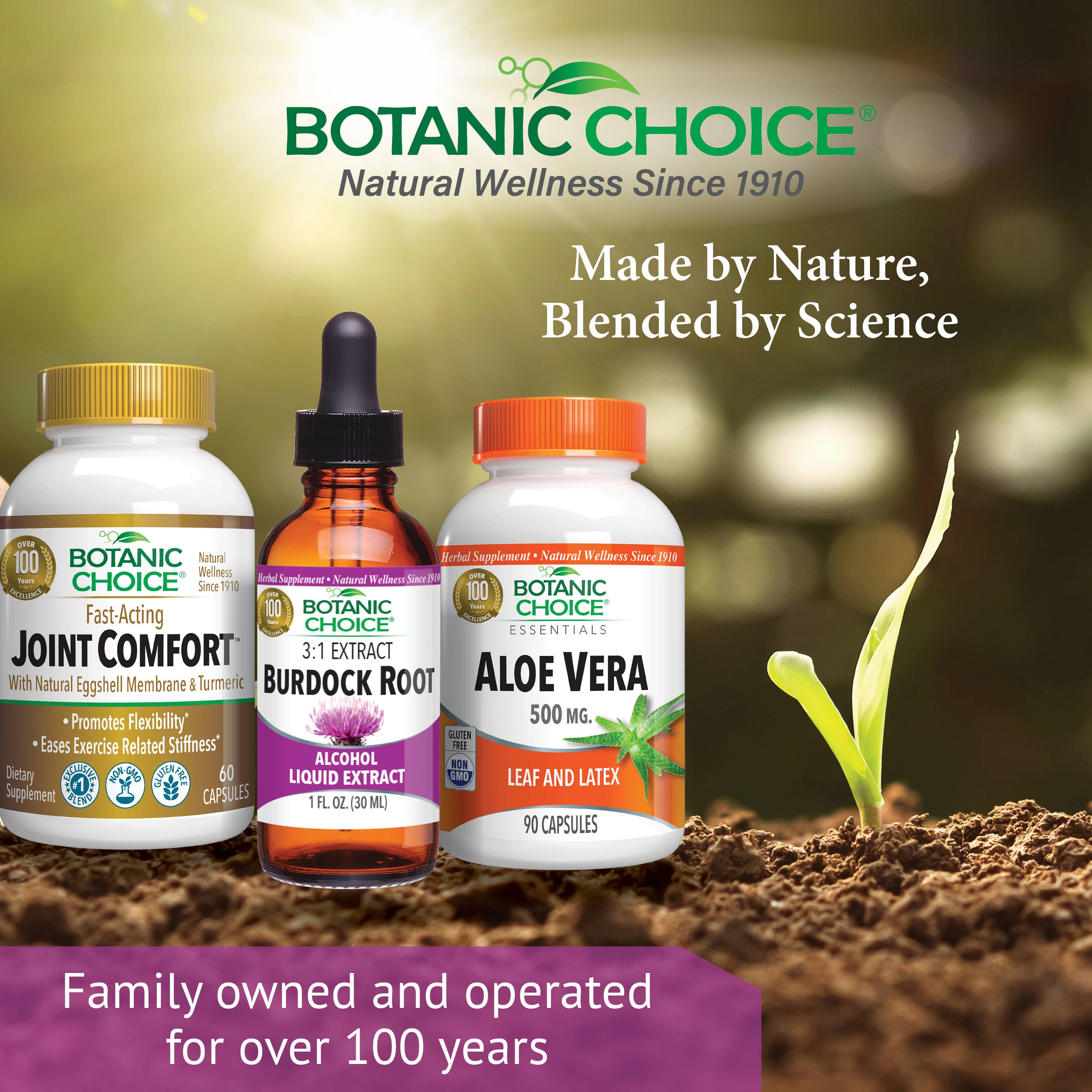 Botanic Choice - Wholesale Oral Supplement/Vitamin - Botanic Choice Burdock Root Liquid Extract - 1 oz5