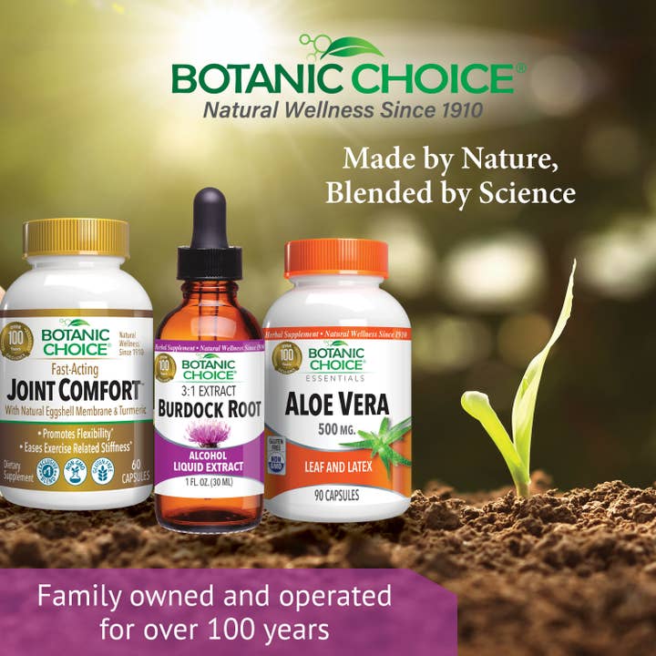 Botanic Choice - Wholesale Oral Supplement/Vitamin - Botanic Choice Burdock Root Liquid Extract - 1 oz5