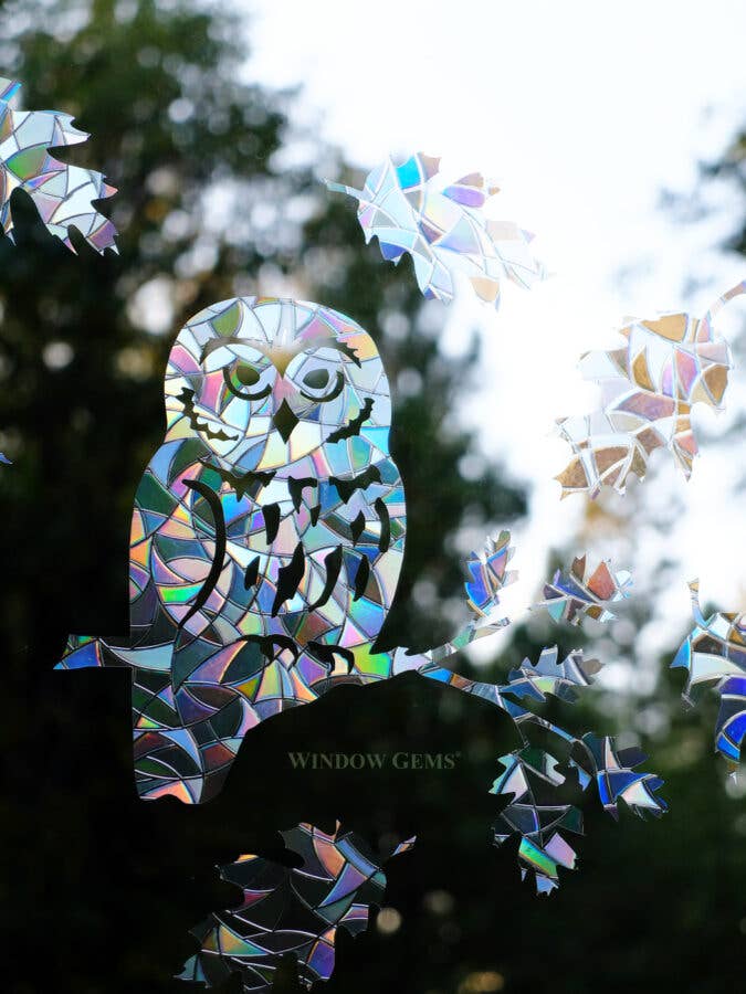 Window Gems – Suncatcher por atacado – Autocolantes de Janela com Coruja Saw-Whet - Prismas Captadores de Sol - Salve os pássaros2