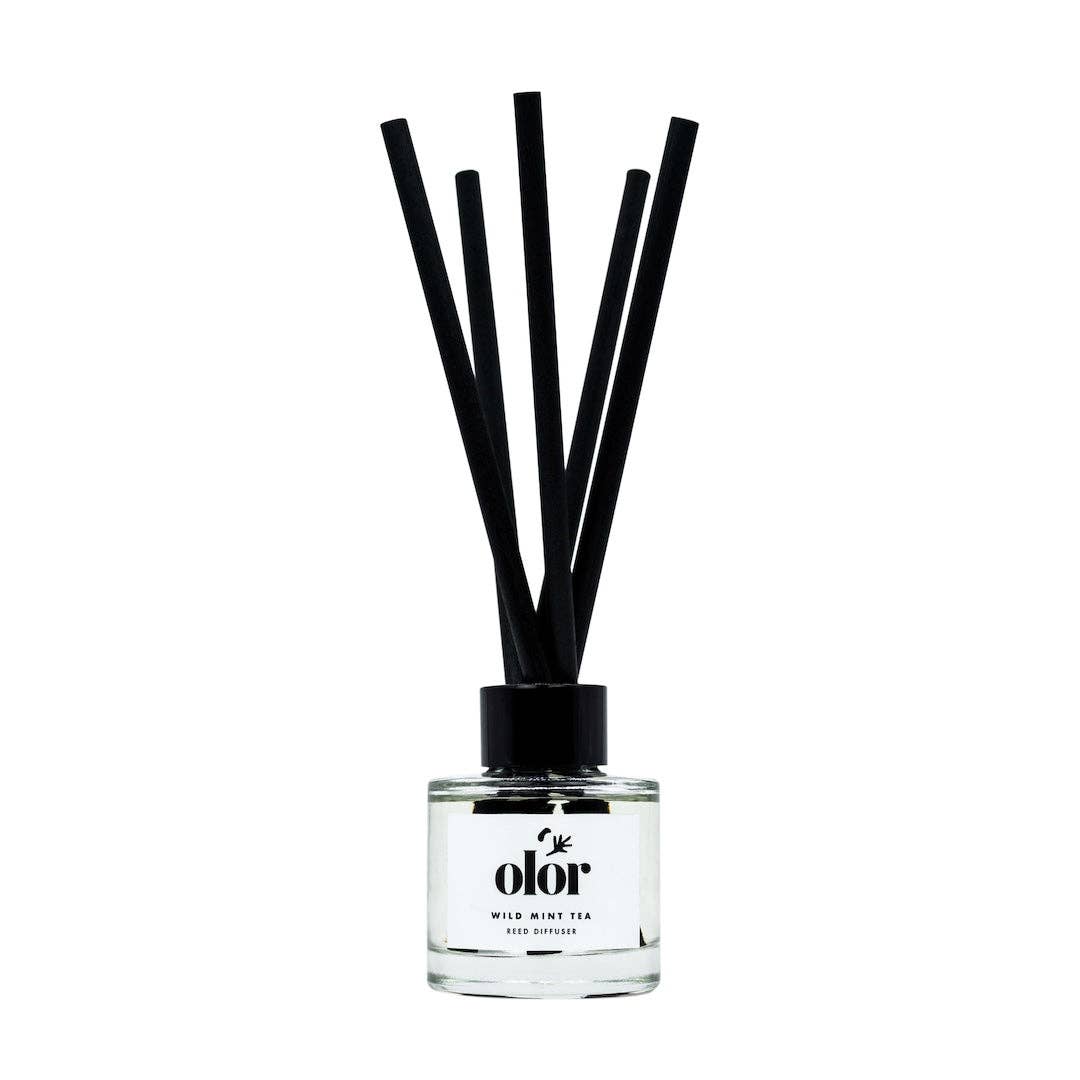 OLOR – wholesale Reed diffuser – Wild Mint Tea Mini Reed Diffuser5