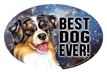 SJT Enterprises, Inc. - Wholesale Magnet - Aussie (Best Dog Ever!)0