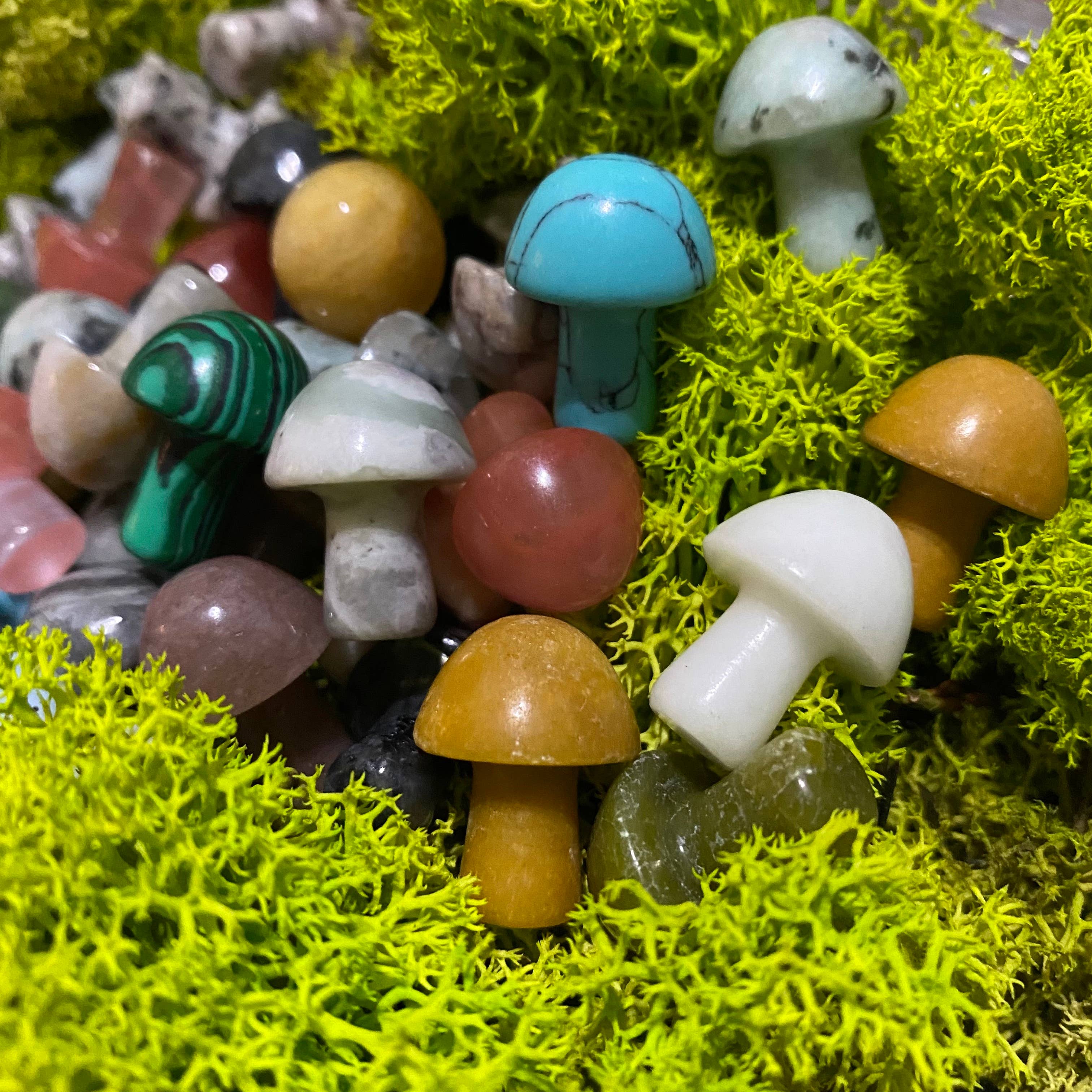 Wax Apothecary - Wholesale Spiritual Stone/Crystal - 🍄 Crystal Mini Mushroom Stone Assortment 🍄3