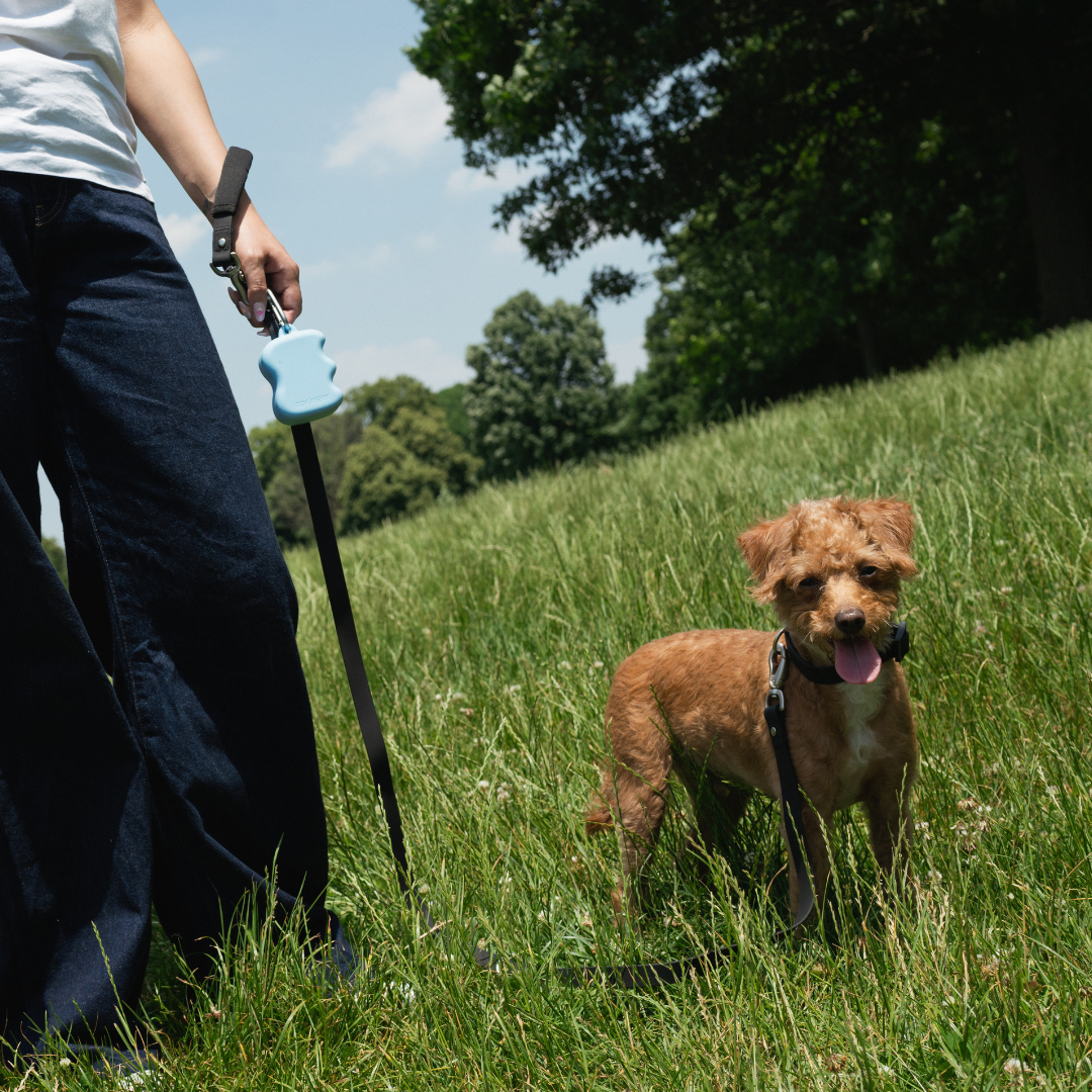 Springland Pets - Wholesale Pet Treat Bag - Dog - Silicone Dog Treat Dispenser - 6 Colors (Mixed 12 Pack)10