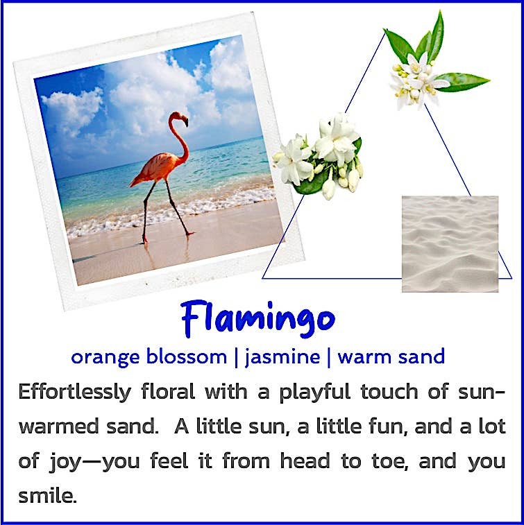 Bougie Vida - Vente Bougie en bocal - Bougie Signature en Verre de Soja 8 oz Flamant Rose5