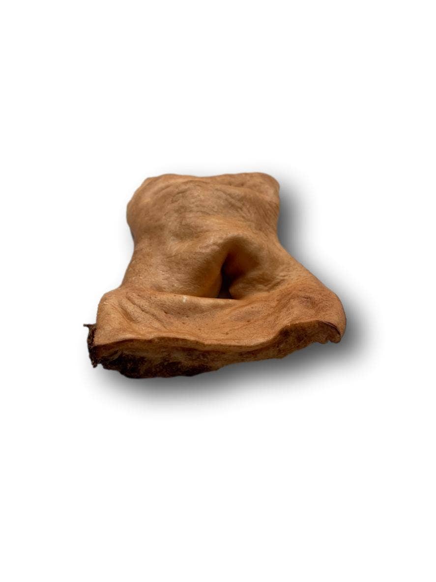 Healthy Dog Chews - Wholesale Pet Treats - Dog - Beef Snout (CS0101R)2