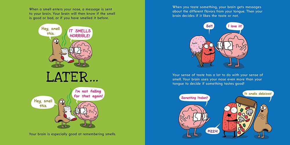 Scholastic - Wholesale Preschool Book (3-5) - The Brain Is Kind Of A Big Deal3