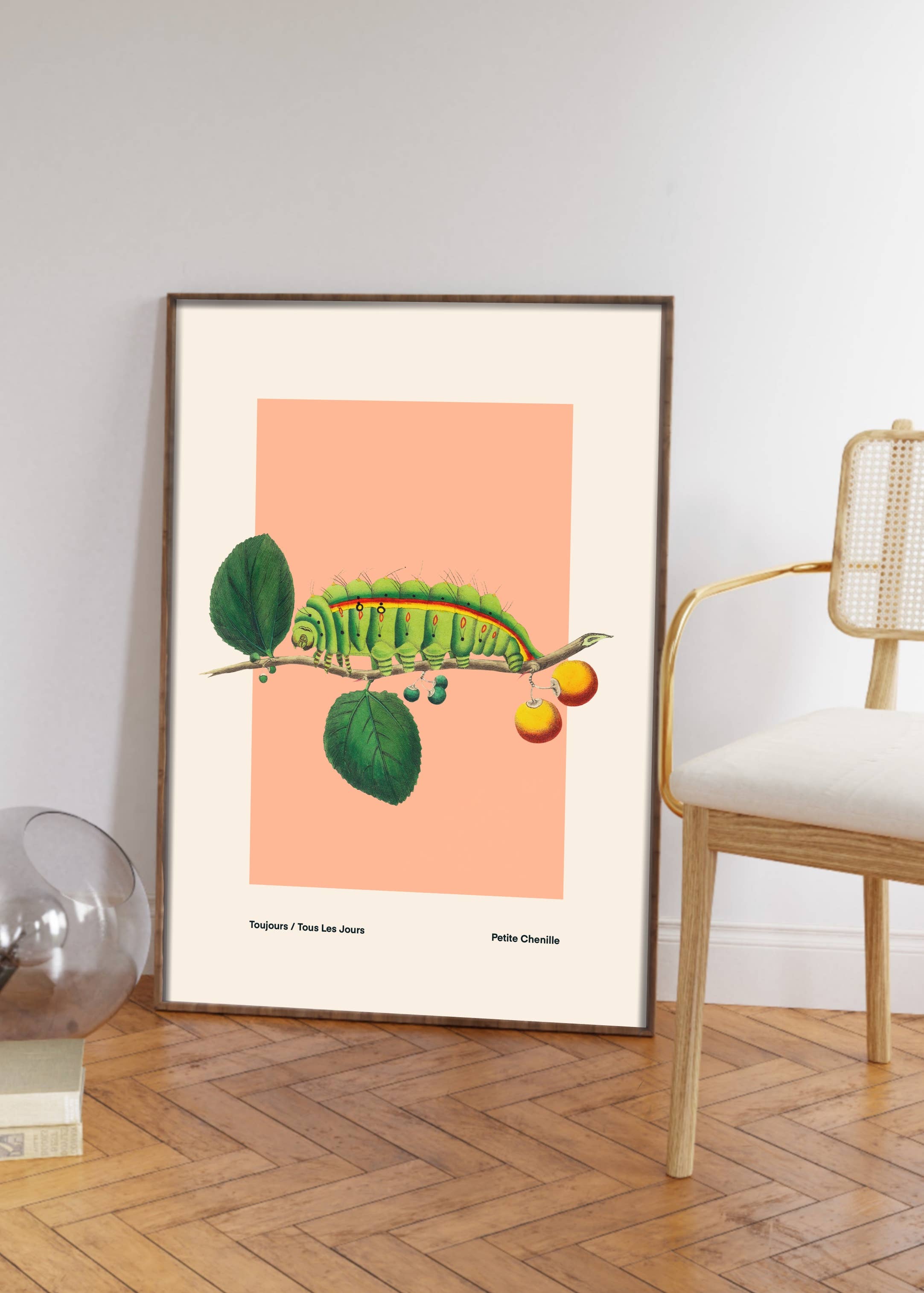 Kate Fox Design – wholesale Art print – Bug Art Print, Green, Blue, Red., Vintage, Insect Art5