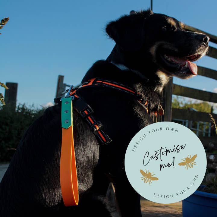 Biothane Grab Handle / Traffic Lead for wholesale by Liv Like Busby