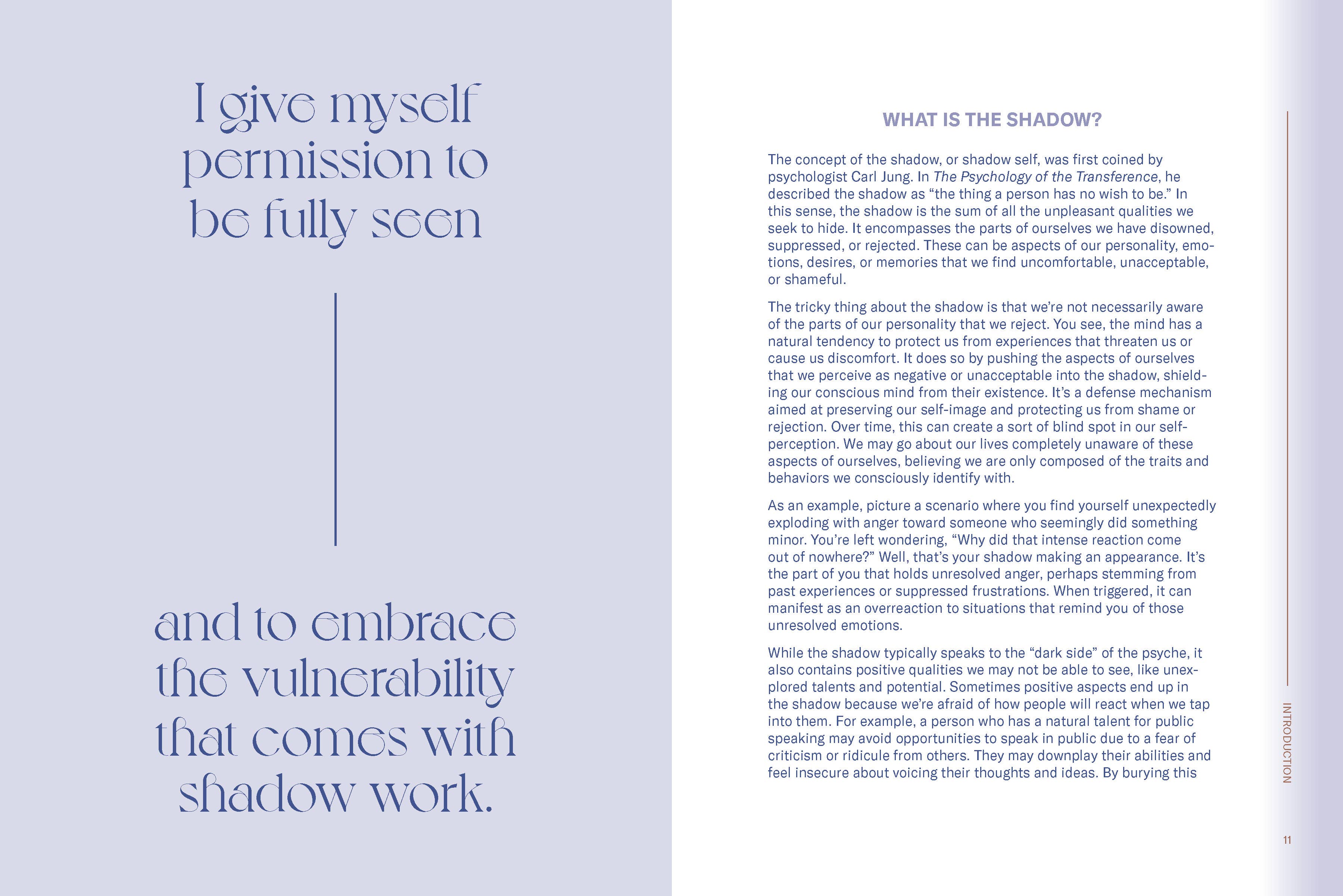 Chronicle Books - Wholesale Journal/Diary - Shadow Work Companion8