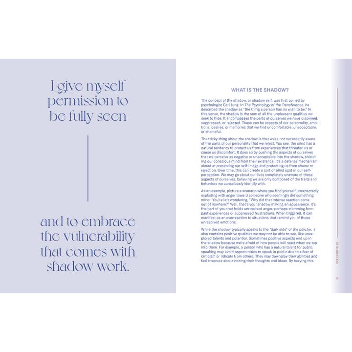 Chronicle Books - Wholesale Journal/Diary - Shadow Work Companion8