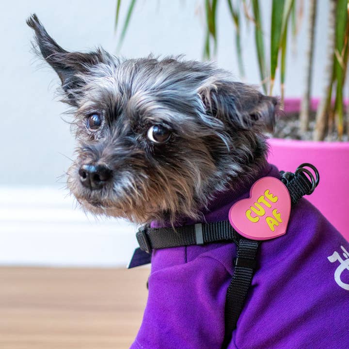 Cute AF Pink Jiby Dog Charm for wholesale on Faire3