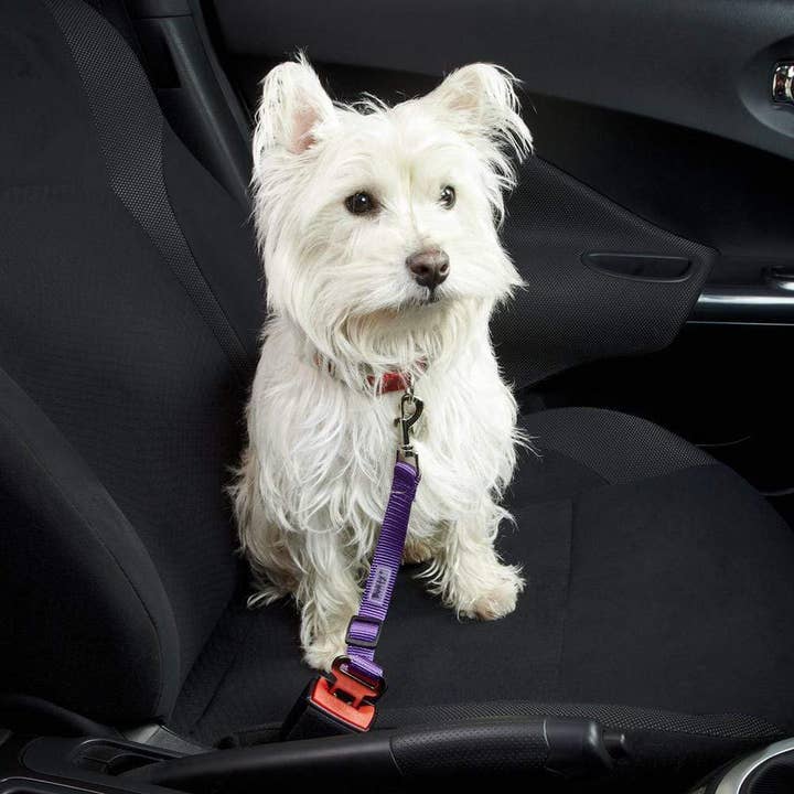 Dog & Cat Seat Belt Safety Travel Restraint, Harness Clip for wholesale by Bunty Pet Products Ltd