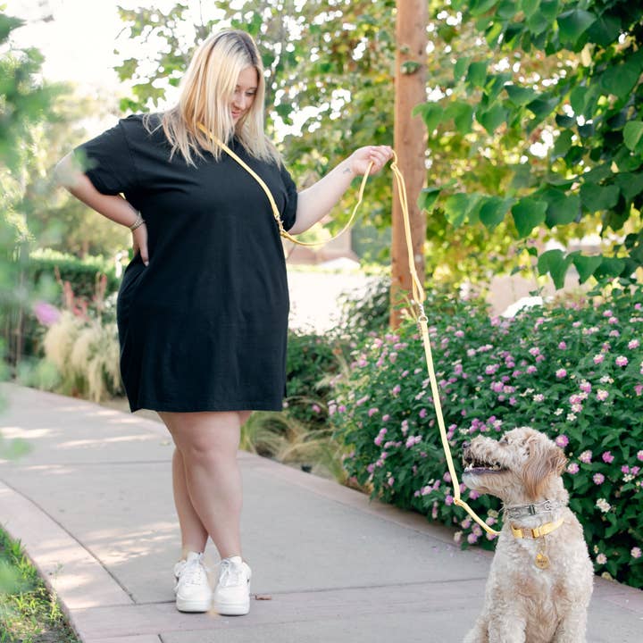 SUNNY TAILS - Vente Collier – chien - Collier de chien étanche jaune pissenlit5