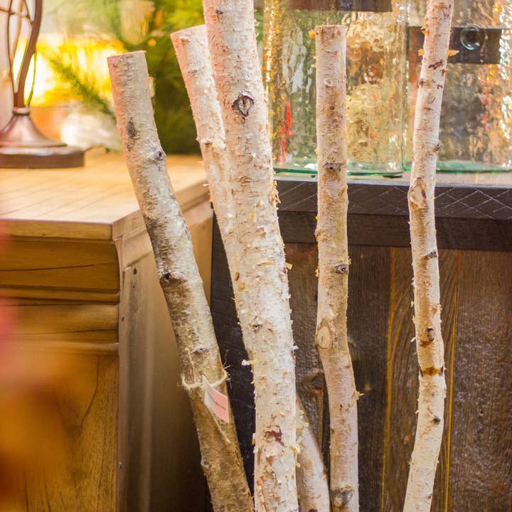 Winter Woods - Wholesale Craft Supplies - Birch Poles