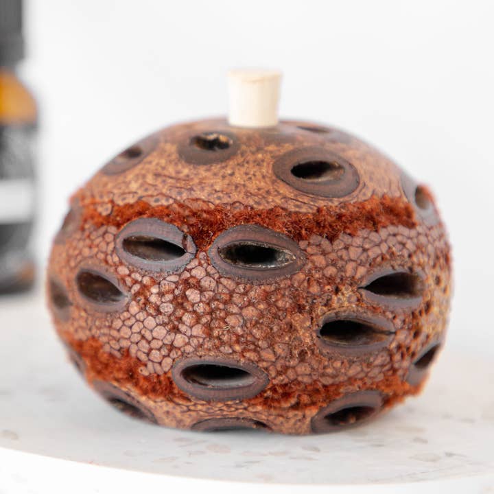 Mini Banksia Pod Diffuser for wholesale by Australian Wholesale Oils