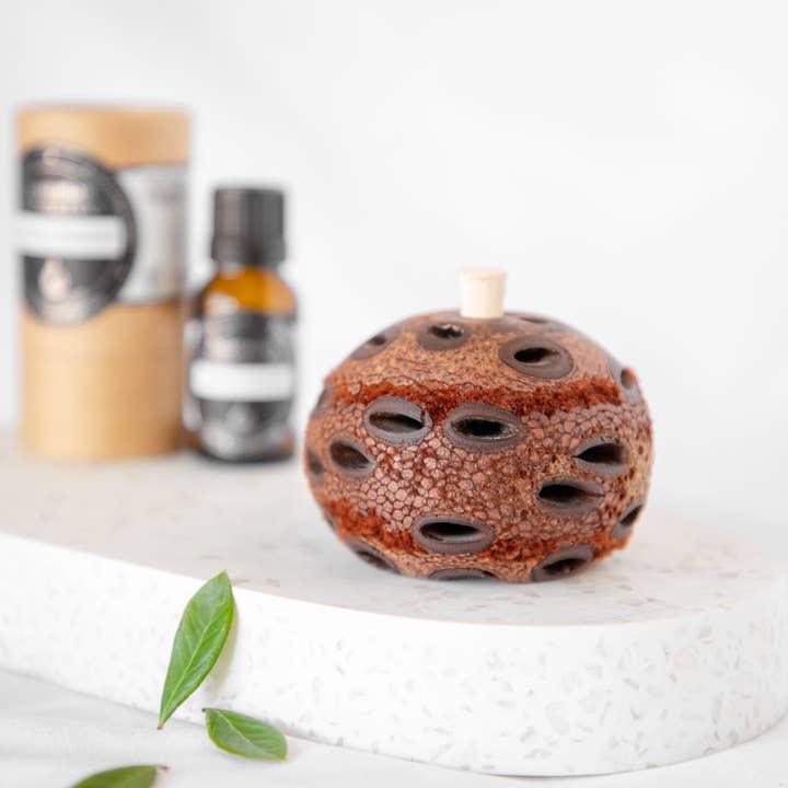 Australian Wholesale Oils - Wholesale Reed diffuser - Mini Banksia Pod Diffuser