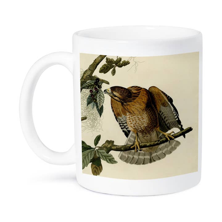 3dRose - Vendita all'ingrosso Tazza - 3dRose, Tazza con Stampa d'Arte Vintage di Audubon America con Falco Spalle Rosse, Uccello Rapace.8