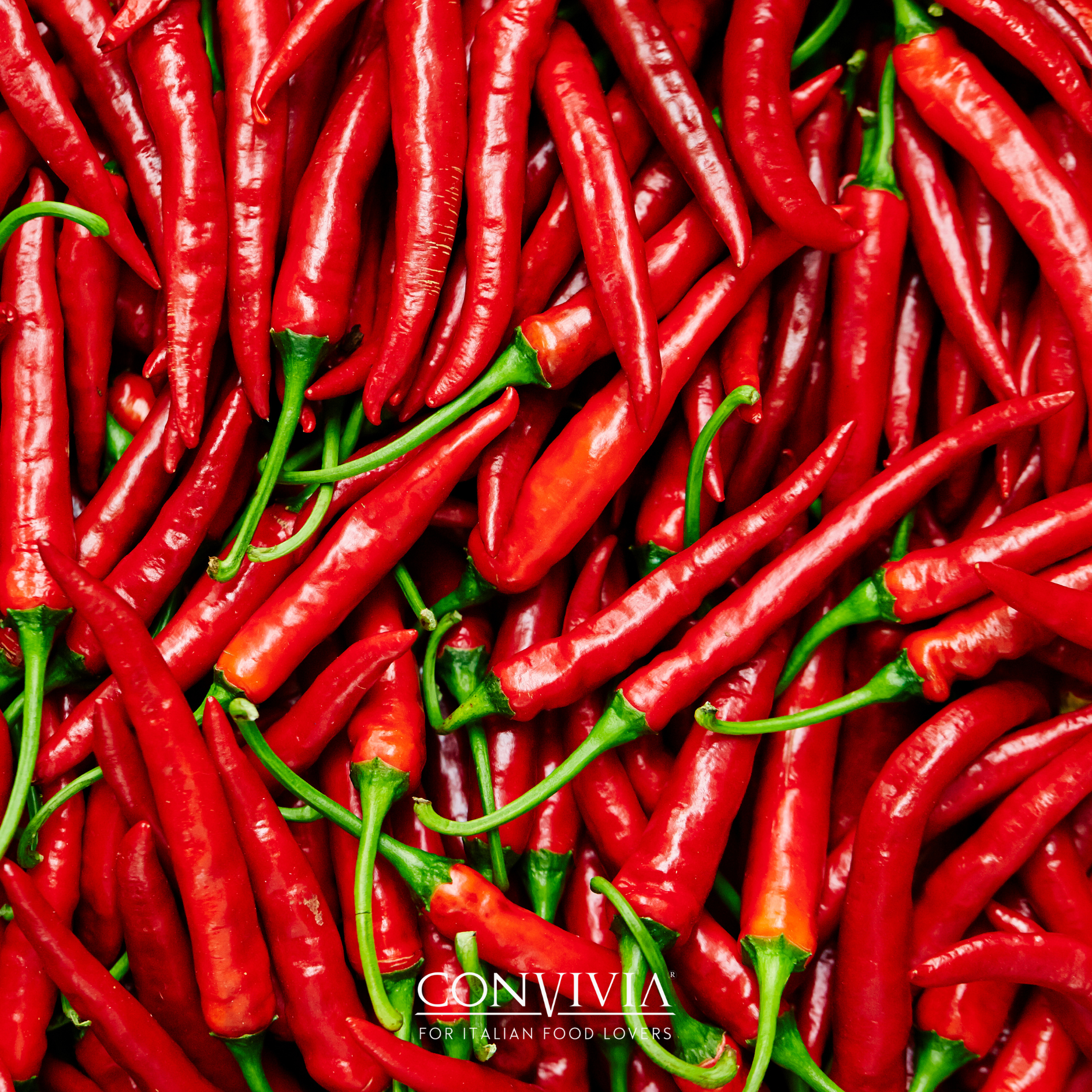 CONVIVIA for italian food lovers - Wholesale Sauce - Organic chilli pepper paté 190g4