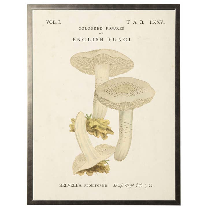 Vintage english mushroom bookplate K for wholesale by Antique Curiosities Inc