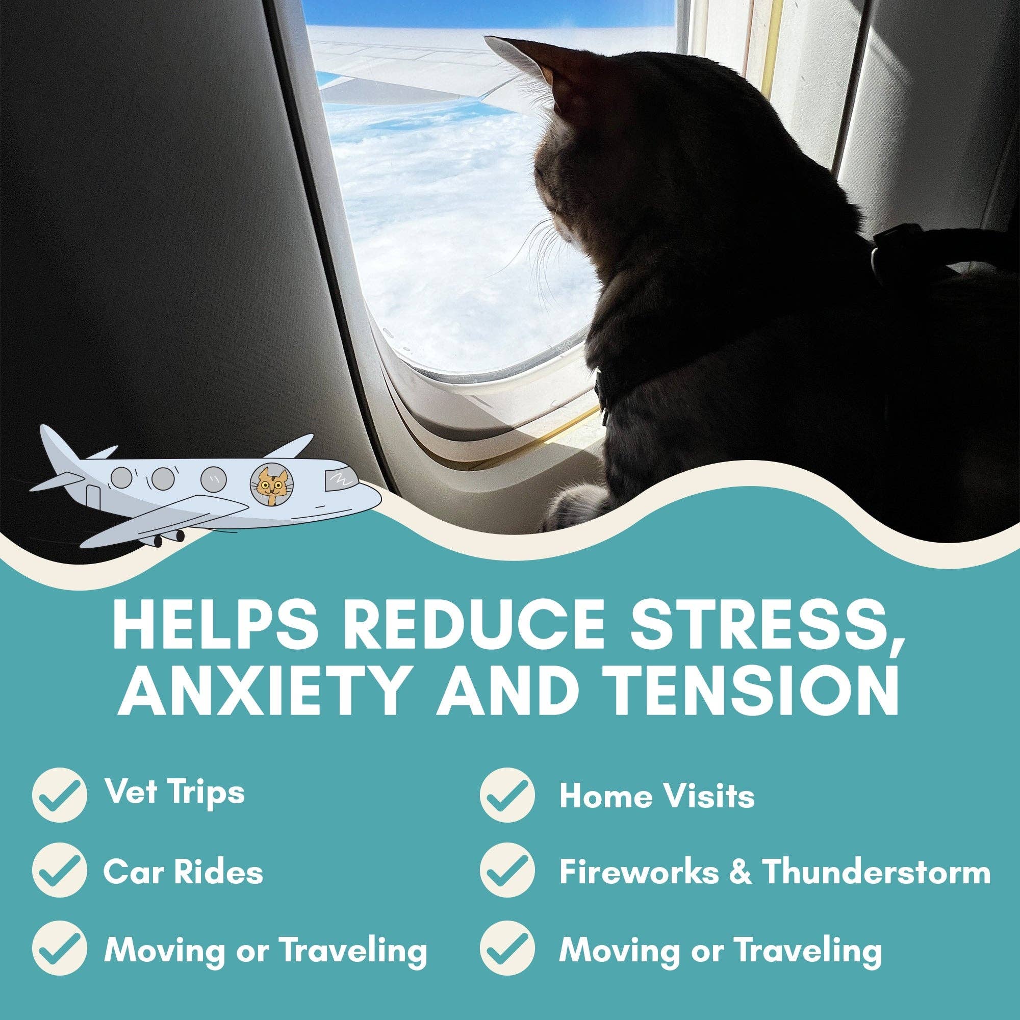 Outdoor Bengal - Wholesale Pet Treats - Cat - Cat Calming Sticks4