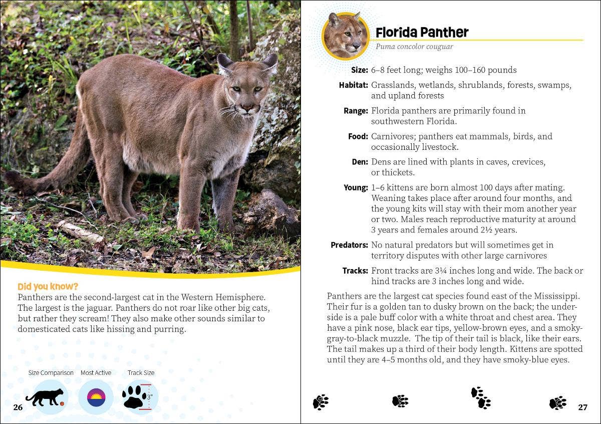 AdventureKEEN - Vente Nature & Outdoors - Guide de poche sur les créatures de Floride1