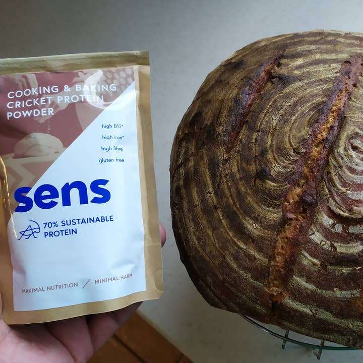 sens - Venta al por mayor Proteínas y superalimentos en polvo - Harina proteica de grillo para cocinar y hornear | 100 g