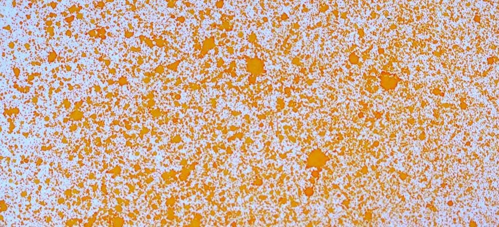 Ecstasy Crafts Distributing - Wholesale Craft Supplies - Cosmic Shimmer Airless Mister22