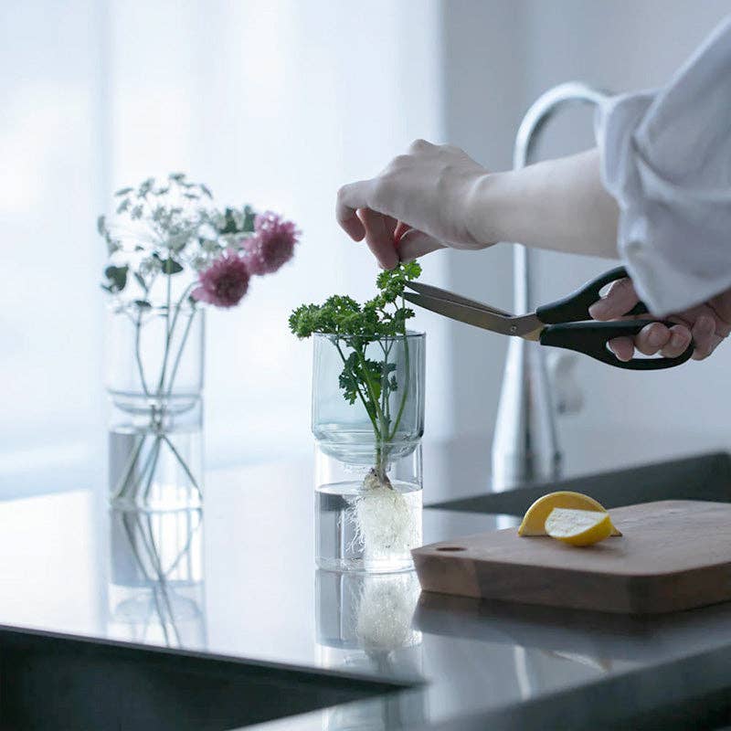 HARIO USA - Wholesale Vase - Glass Flower Vase16