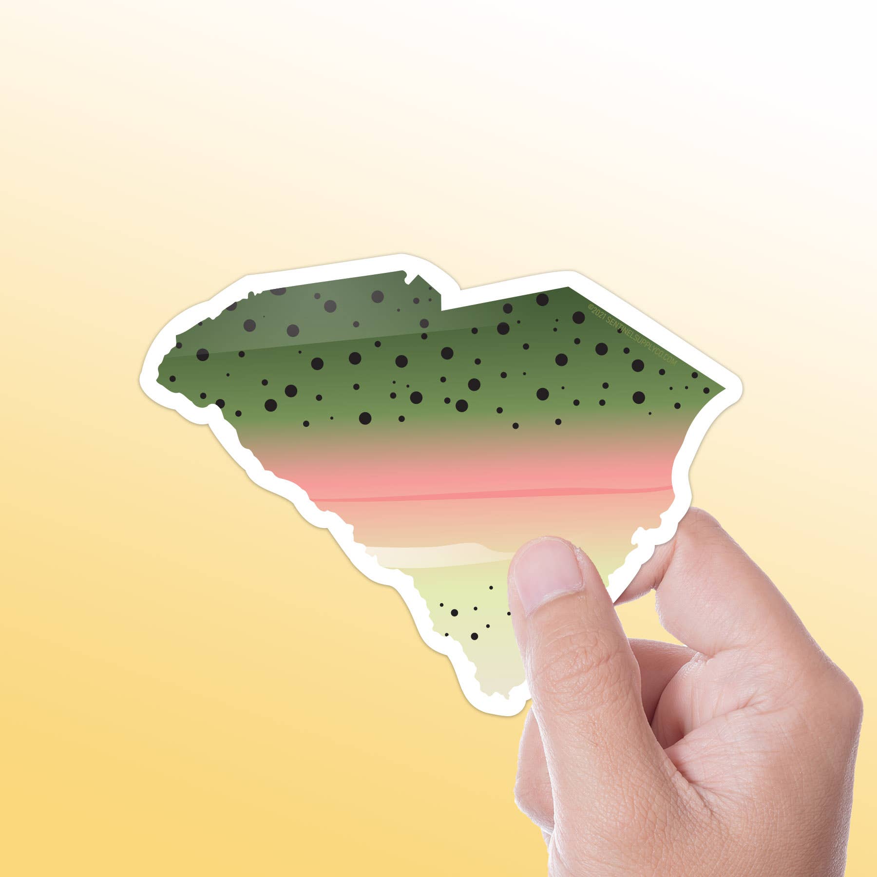 Sentinel Supply – wholesale Sticker – Rainbow Trout South Carolina Fly Fishing Sticker - SC Decal1