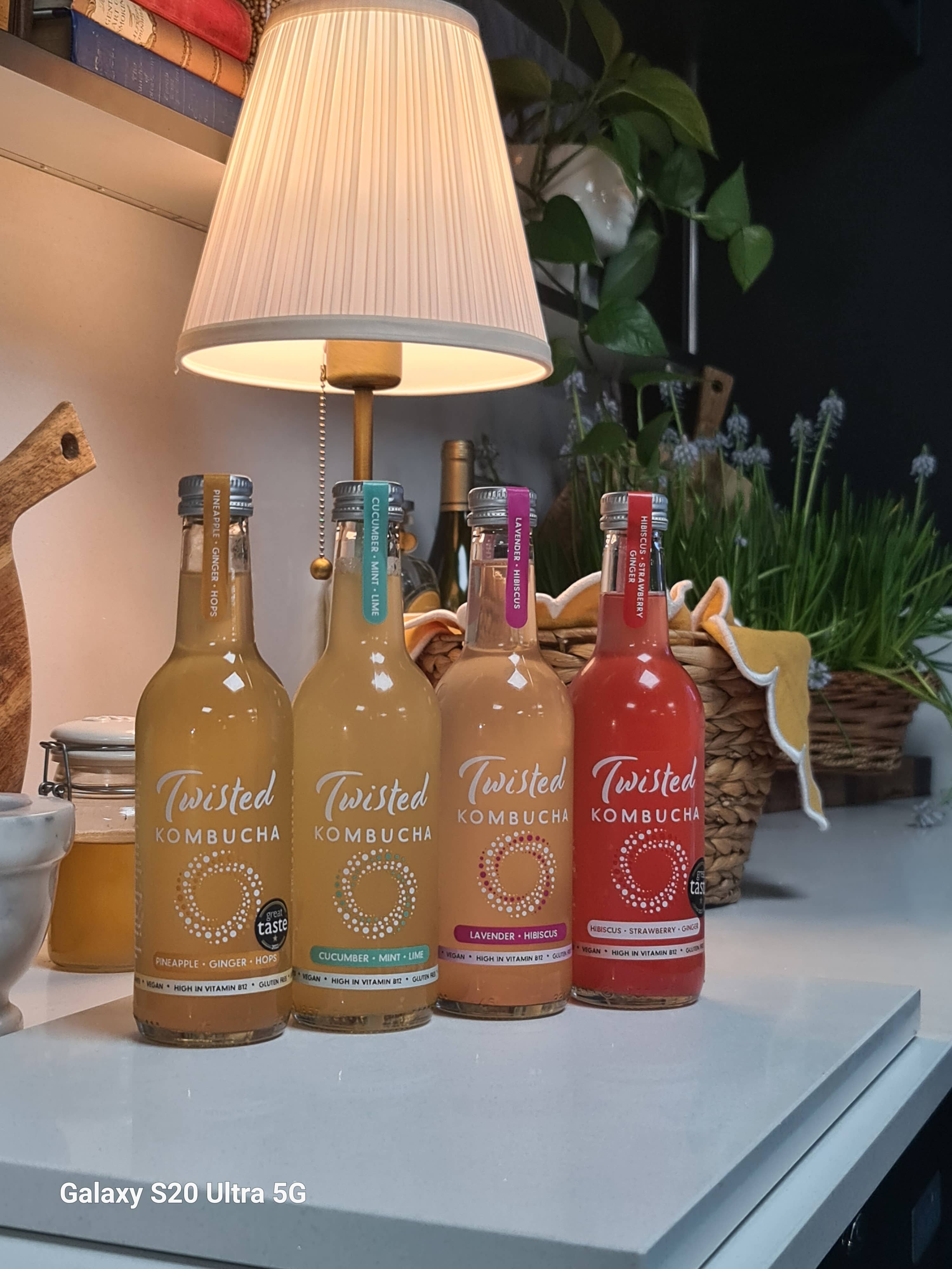 Twisted Kombucha - Vente Kombucha - Twisted Kombucha - Assortiment de saveurs12