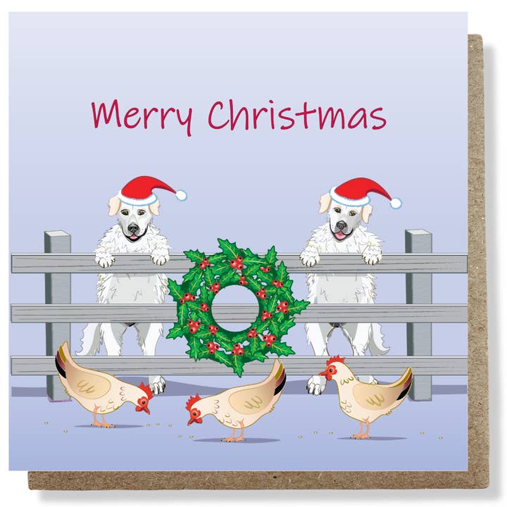 Card Maremmas in Training for wholesale by Lucky Little Penguins