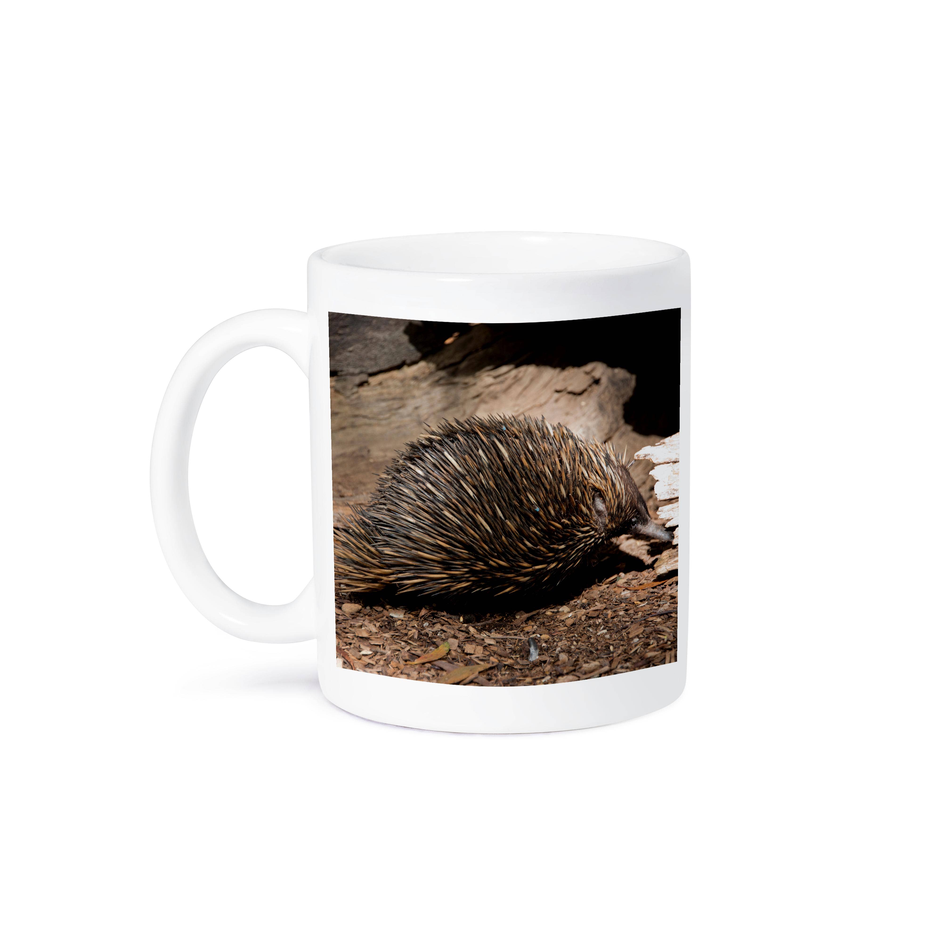 3dRose - Wholesale Coffee Mug - 3dRose, Australia, Adelaide. Cleland Wildlife Park. Echidna., Mug8