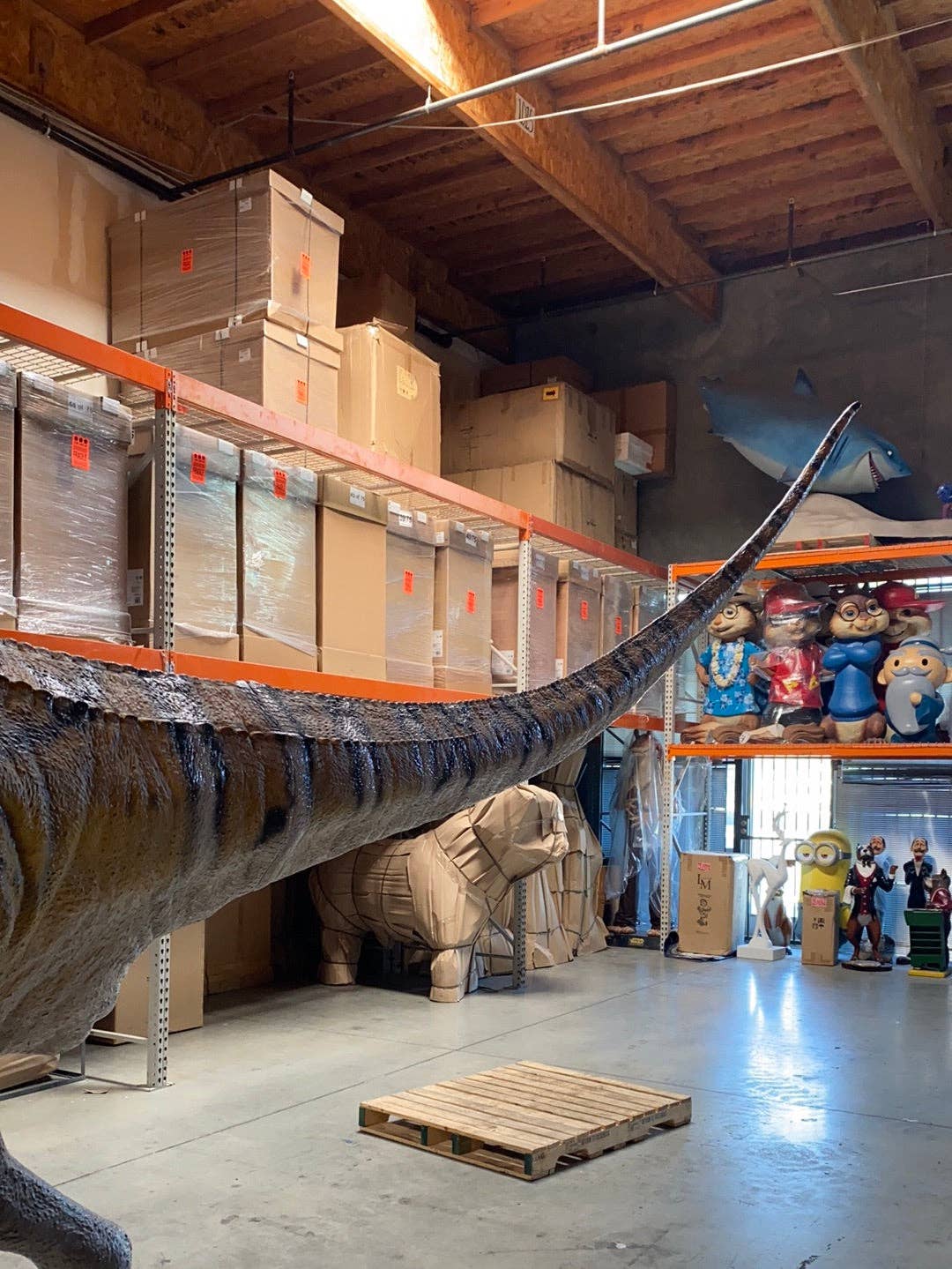 LM Treasures - Wholesale Figurine Toy - Kids - Australovenator Dinosaur Life Size Statue16