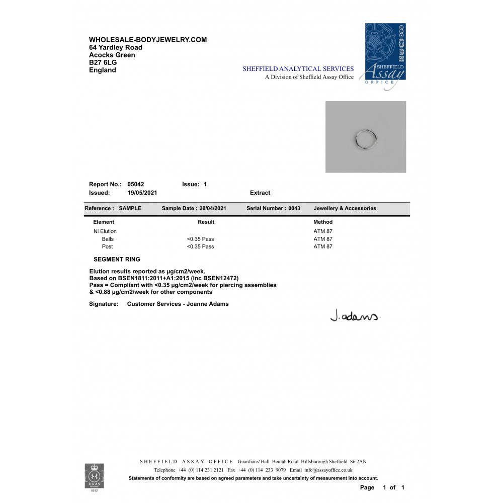 Bodytrend - Wholesale Nose Ring - TITANIUM  - SEGMENT HINGED RINGS , CLICKER RING1