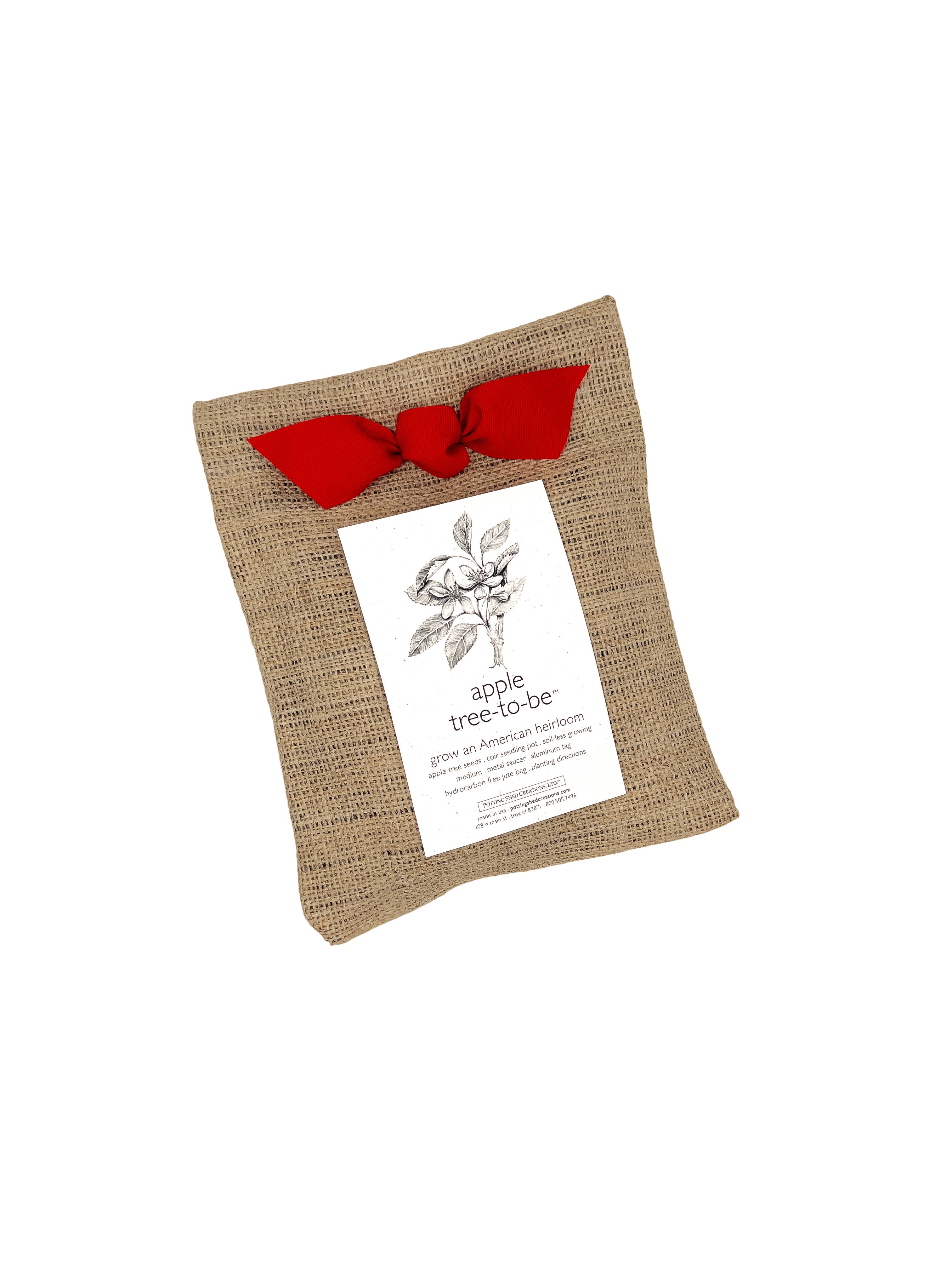 Potting Shed Creations, Ltd. - Wholesale Plant Seeds - Tree To Be | Apple | Teacher Thank you gift | Kid Activity