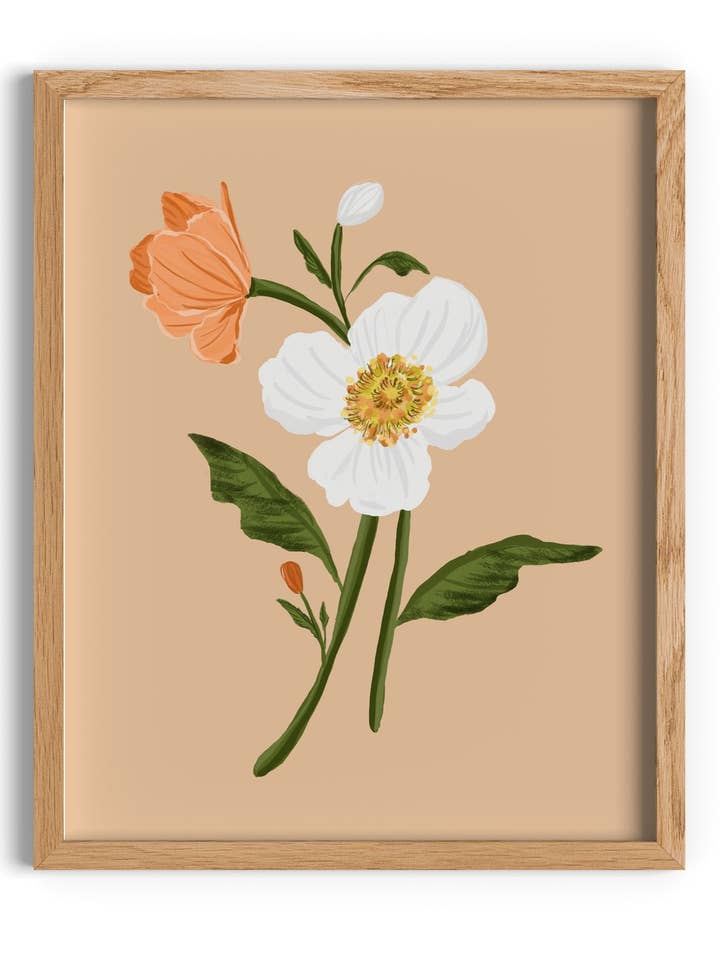 Valmuer Blomster for engroshandel hos Isabela Schielke Studio