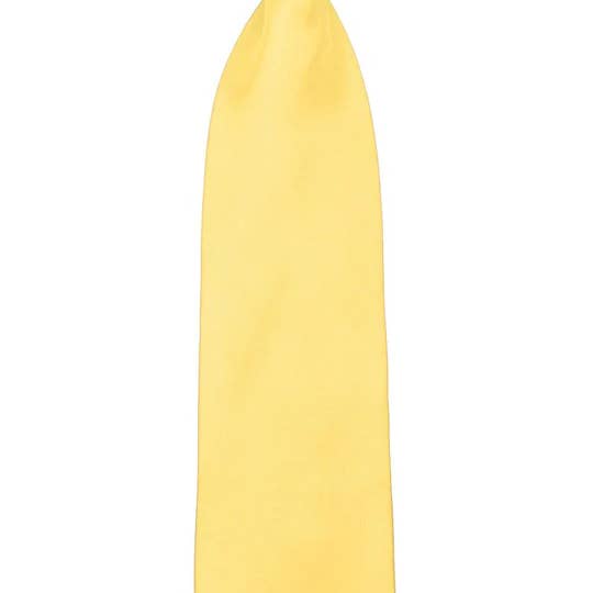 Ferrecci - Wholesale Necktie – Kids - Ferrecci - Premium 13" Boy's Clip-On Necktie13