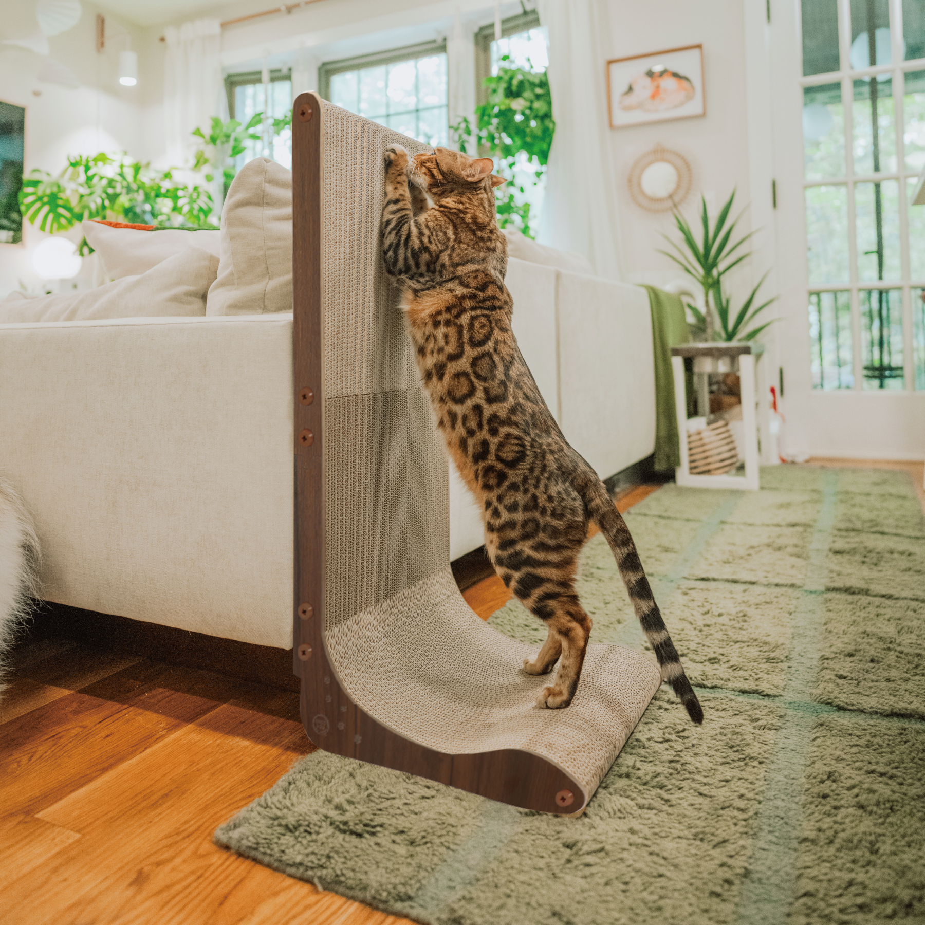 MOON-X USA, INC. - Wholesale Pet Scratcher - Cat - Premium Comfort Scatcher Wall 10