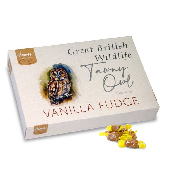 UK ONLY. British Wildlife Range Fudge Box - Tawny Owl for wholesale by Hames Chocolates