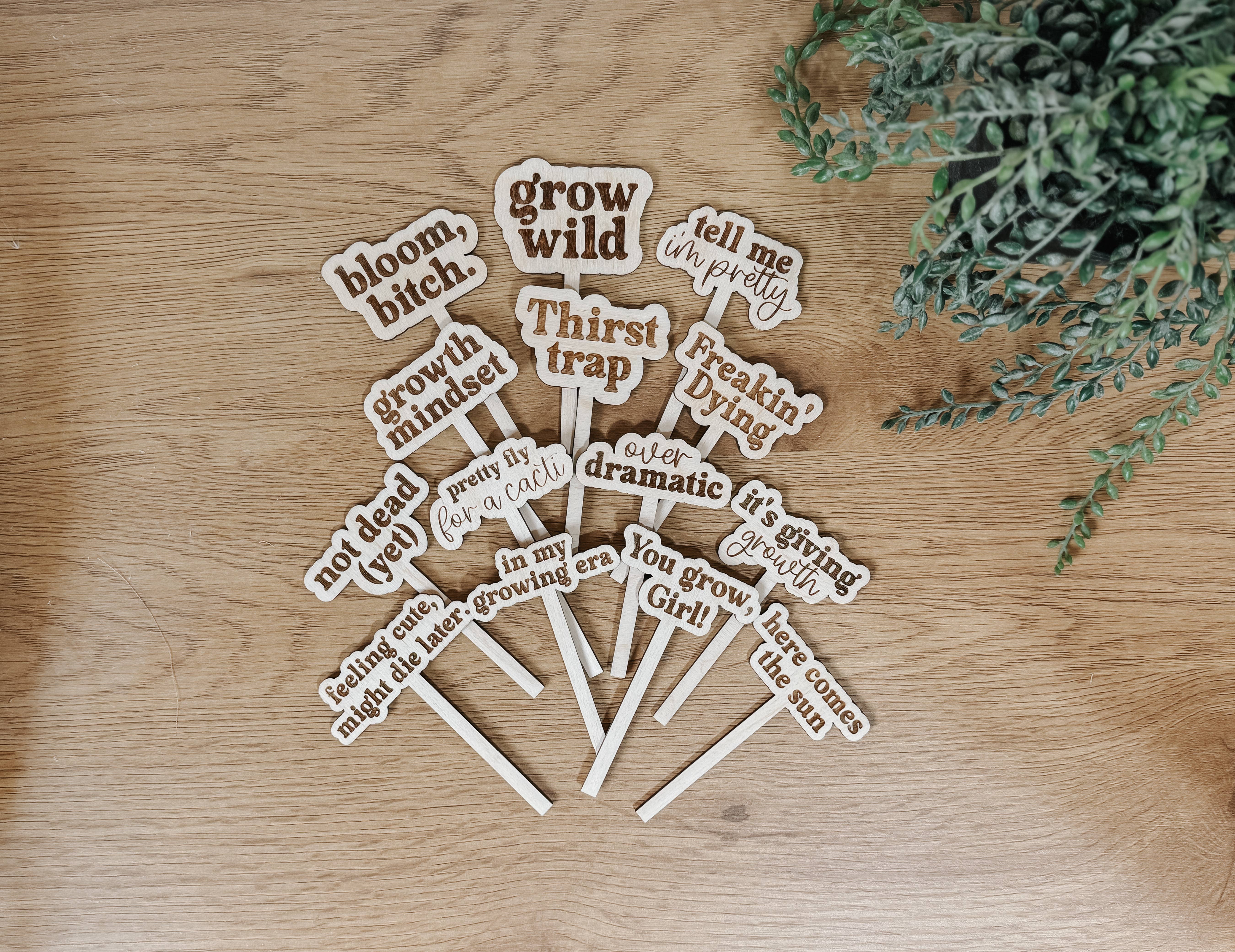 Arrow Town Designs - Wholesale Garden/Lawn Stake - Funny Engraved Plant Stakes – Set of Humorous Garden Markers2