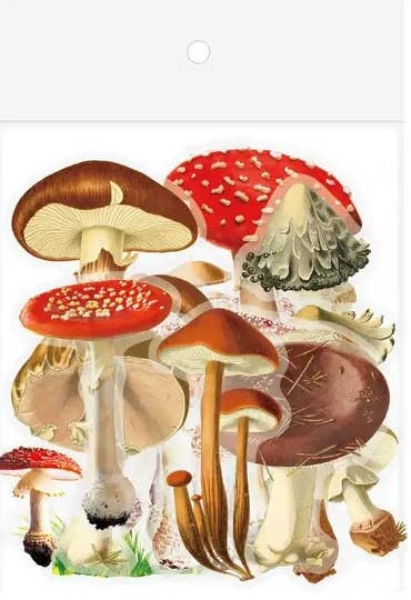 Magnifique Hearts - Vendita all'ingrosso Adesivo - 40 adesivi botanici - Funghi/Piante in PET impermeabile1