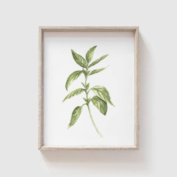 Basil Art Print voor wholesale door Tabitha Paige