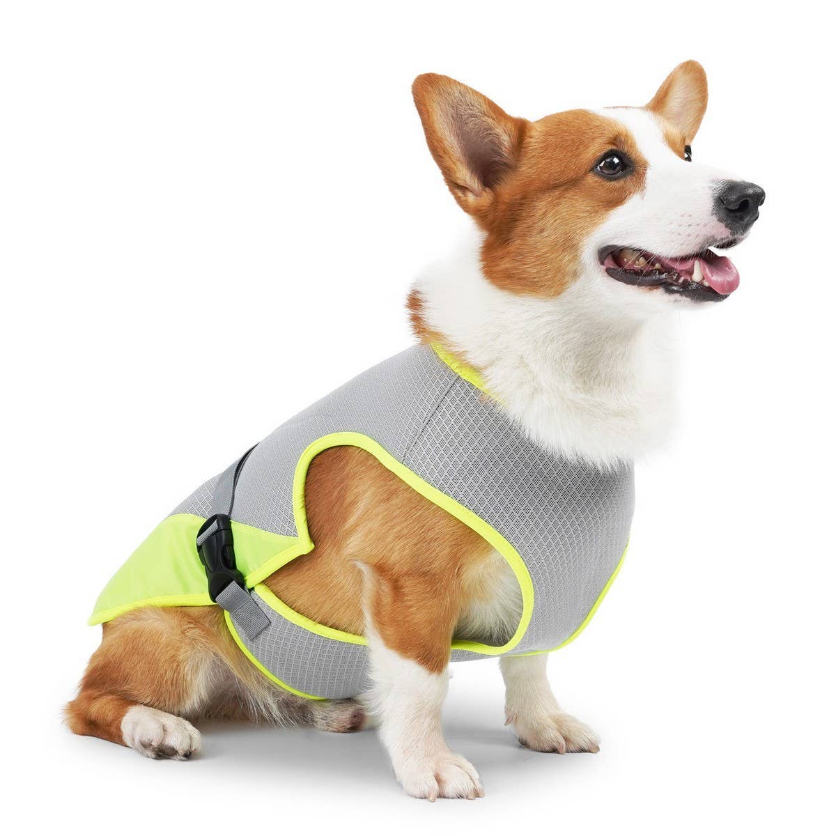 PAWPAWwholesale - Wholesale Pet Costume - Cat/Dog - Cooling Summer Vest for Dogs – Breathable_CWMM74598