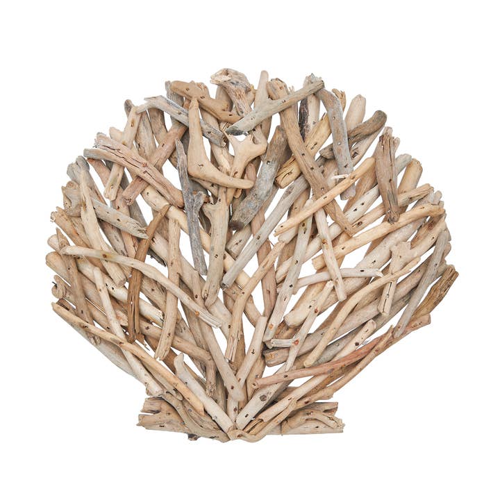 Beachcombers - Wholesale Wall Accent - Driftwood Clam Shell Shaped Wall Decor0
