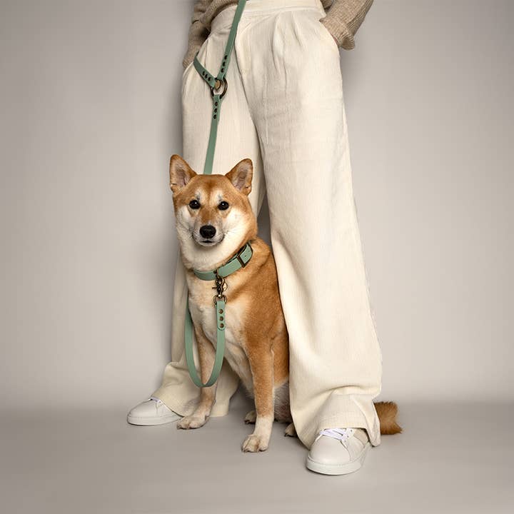 KITSUNE.DOG - Venta al por mayor Collar - Perros - Collar de biotano verde agua - MINT2