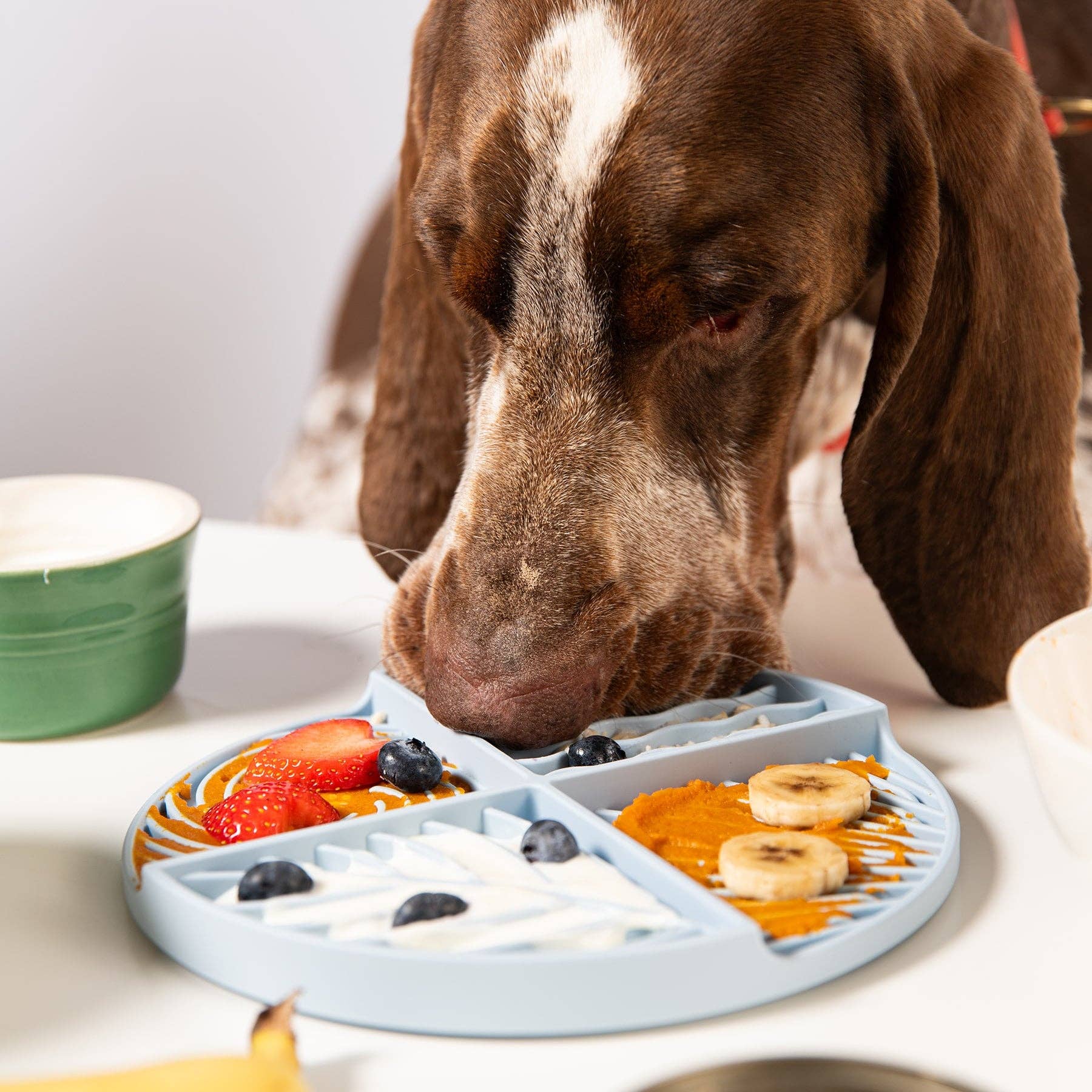 Awoo – Tapete para comedouro – Cão por atacado – Tapete Paradise Lick6