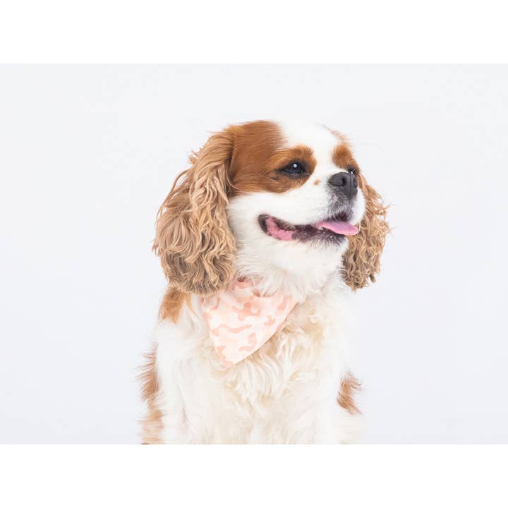 French Bandit - Vente Bandana – chien - Bandana pour chien camouflage sable1