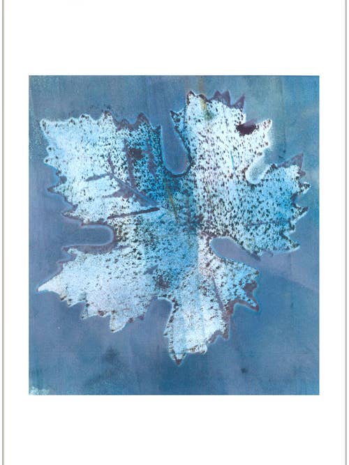 Feuille blanche bleutée sur bleu pâle pour la vente par Finalina