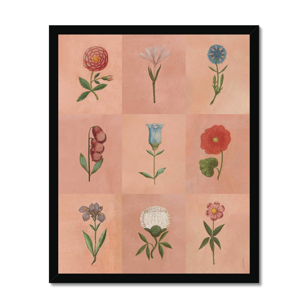 Roomytown Inc - Wholesale Art Print - Pink Festival of Flowers Fine Art Print2