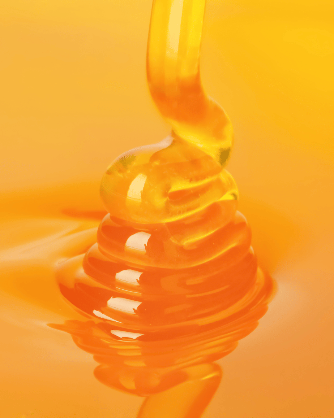 CONVIVIA for italian food lovers – wholesale Honey – Organic wildflower honey 250g2